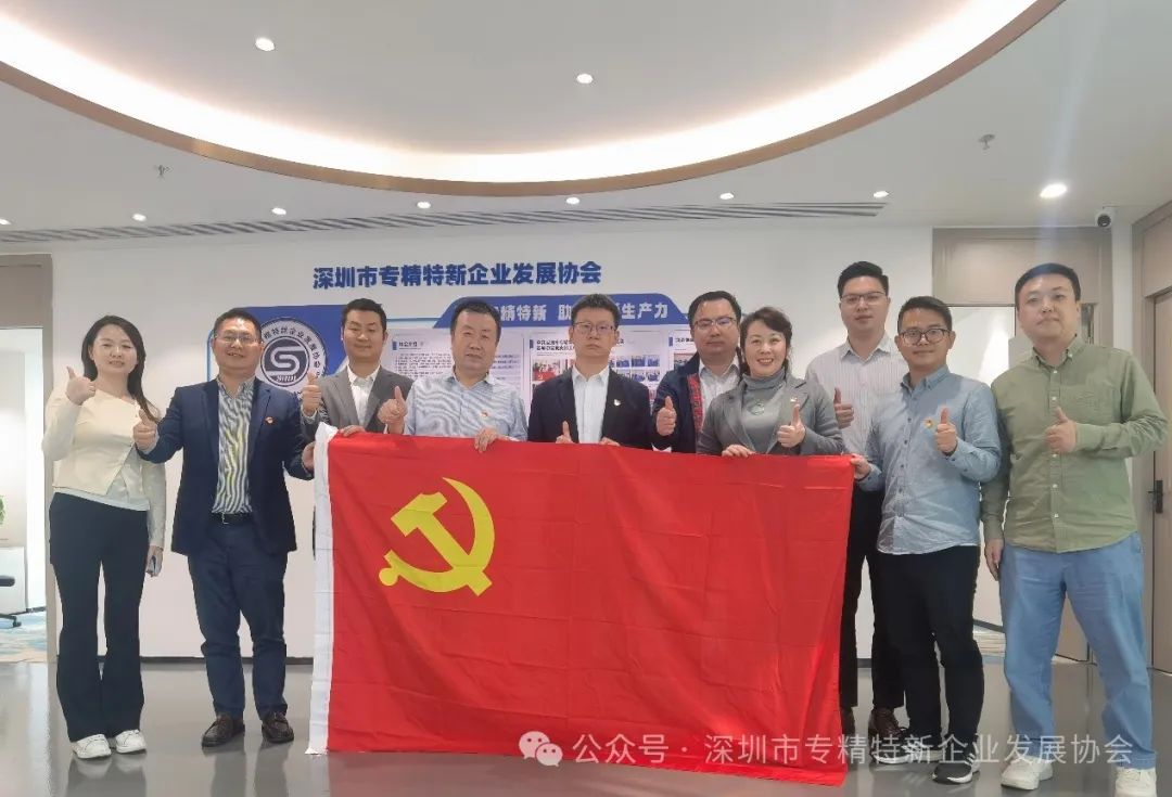 深圳市专精特新企业发展协会党支部顺利完成书记选举工作