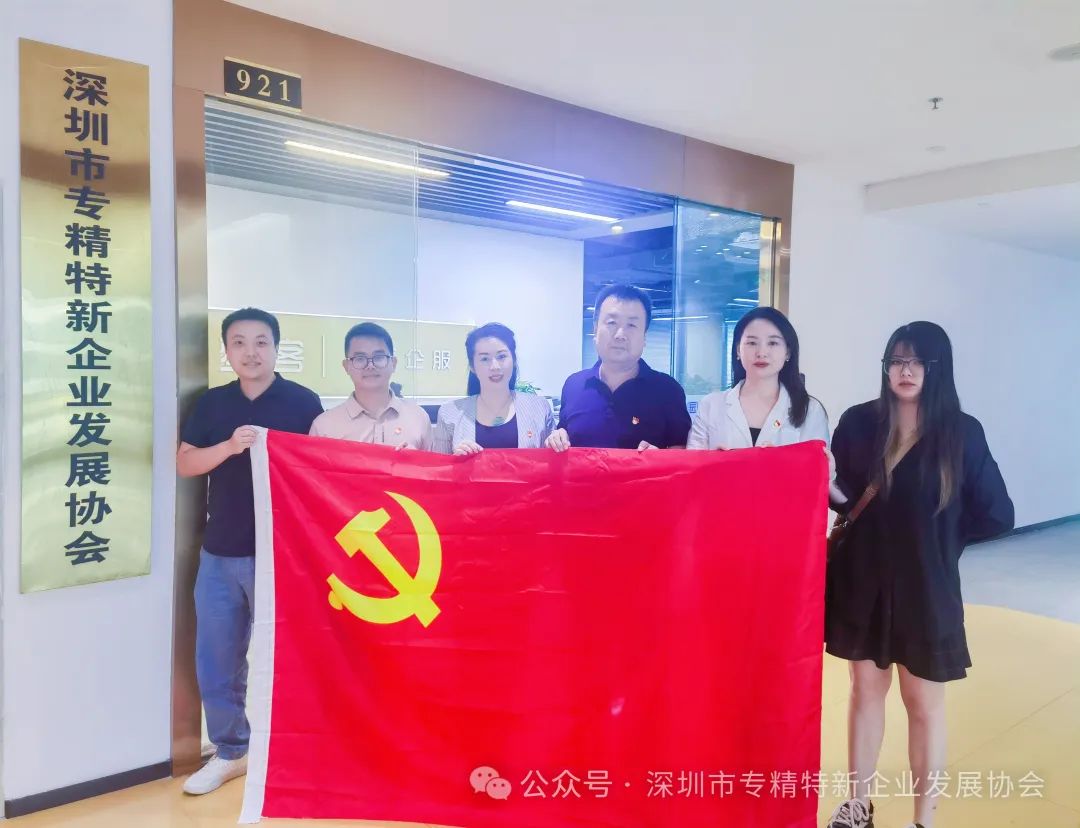 深圳市科技类社会组织联合党委指导我协会党支部书记改选工作