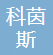 深圳市科茵斯智能科技有限公司-理事单位